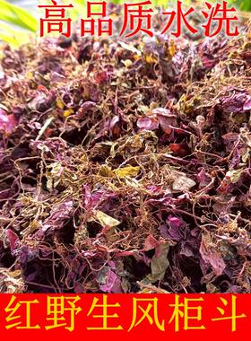 2025新货正宗野生红杆红叶风柜斗草风谷草风鼓草风骨草250g包邮