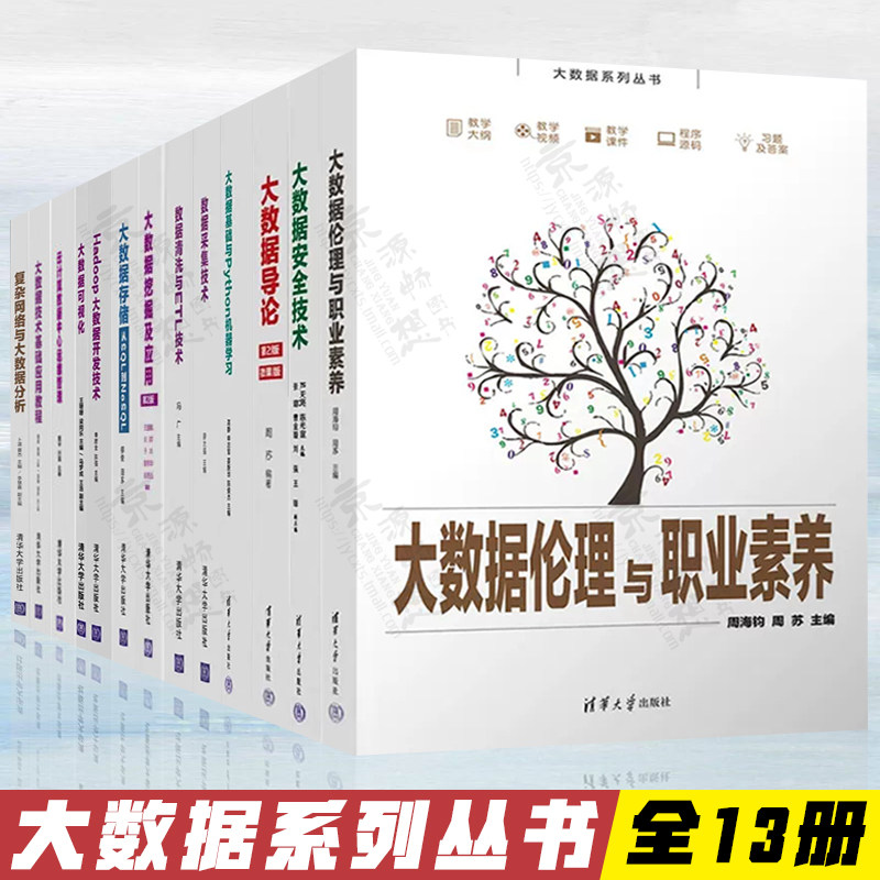 大数据系列丛书清华大学出版社