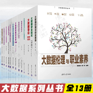 全13册 大数据安全与法律教材书籍 数据处理技术伦理学研究 高等学校数据科学与大数据技术 大数据系列丛书 网络工程 软件工程