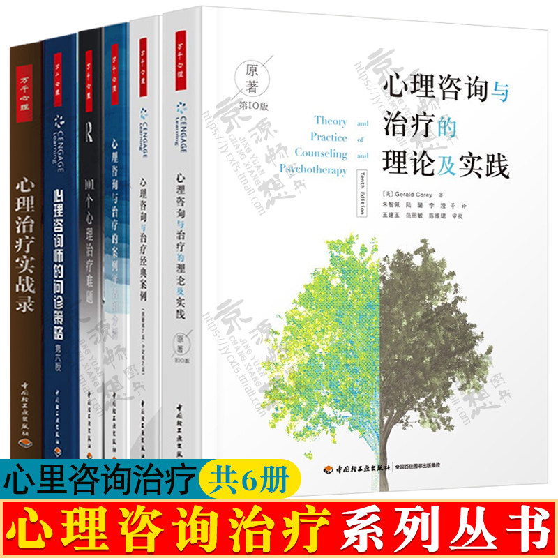 心理咨询与治疗的理论及实践+案例评估和分析+心理咨询师问诊策略+心理治疗实战录+101个心理治疗难题+心理咨询与治疗经典案例书籍