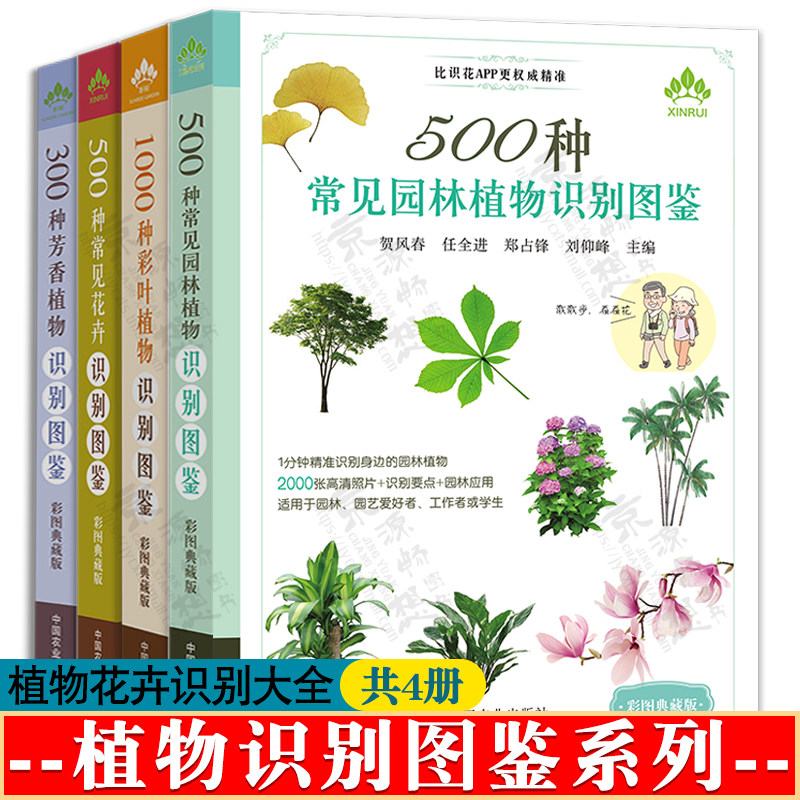 植物识别图鉴系列全4册 彩图 500种常见园林植物识别图鉴+500种常见花卉+300种芳香植物+1000种彩叶植物 常见植物花卉识别宝典手册