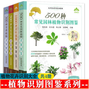 彩图 500种常见园林植物识别图鉴 500种常见花卉 常见植物花卉识别宝典手册 植物识别图鉴系列全4册 300种芳香植物 1000种彩叶植物