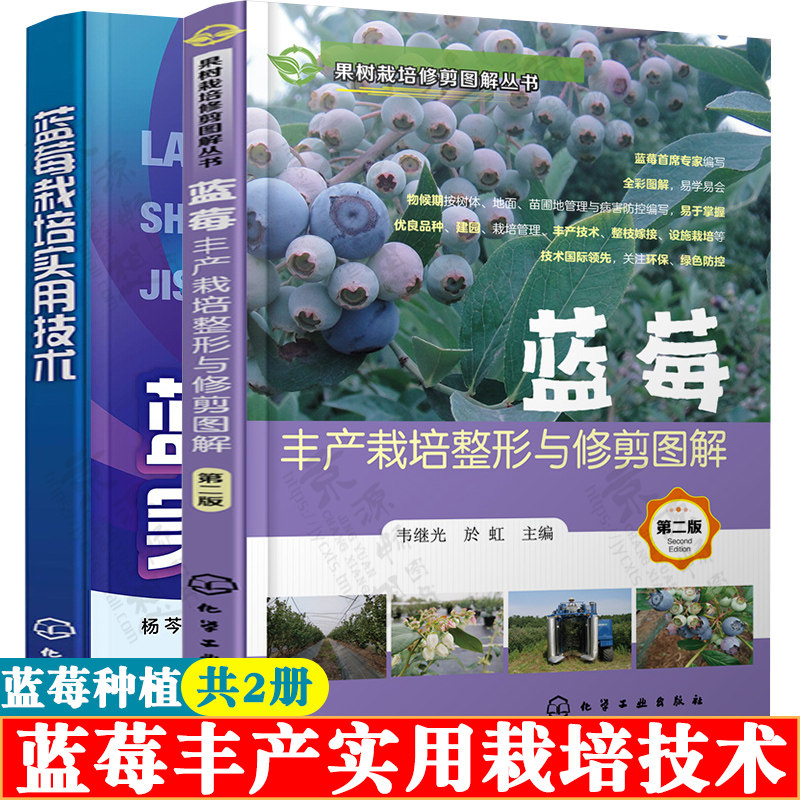 蓝莓栽培实用技术+蓝莓丰产栽培整形与修剪图解第二版 蓝莓病虫害防治 蓝莓高产稳产种植培育技术大全 蓝莓高效栽培 蓝莓种植书籍