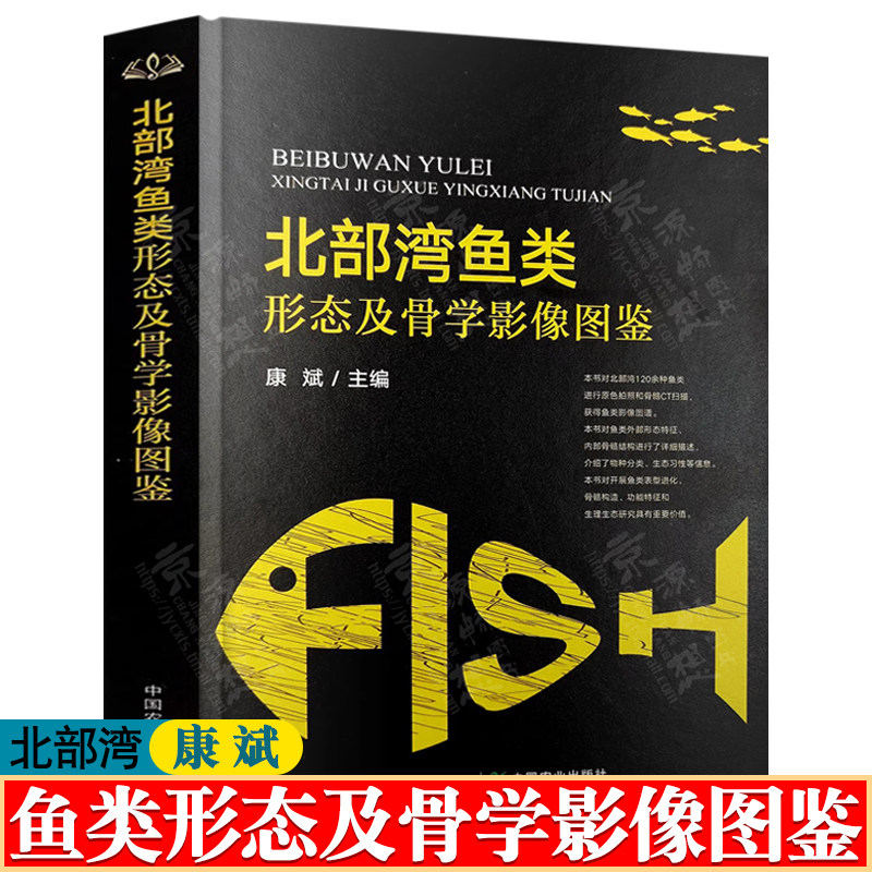 北部湾鱼类形态及骨学影像图鉴 120余种鱼类原色拍照骨骼CT扫描 渔业资源调查 中国海洋及河口鱼类系统检索 北部湾鱼类影像图谱