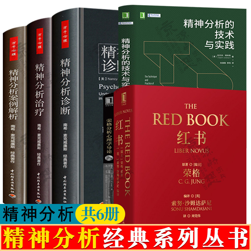 精神分析经典系列丛书 精神分析技术与实践治疗实践指导 理解人格结构 精神分析案例解析 红书荣格分析心理学 心理咨询师治疗书籍