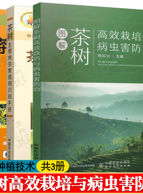 图解茶树高效栽培与病虫害防治+茶树主要病虫害简明识别手册+茶叶高质高效生产200题 油茶树修剪技术 茶树栽培技术书籍