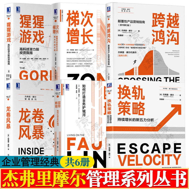 杰弗里摩尔管理系列跨越鸿沟