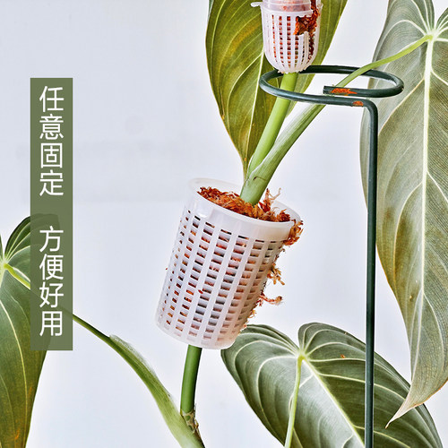 手工水苔盒 植物营养盒 气根 水苔柱棒 绿萝柱 椰棕柱植物攀爬