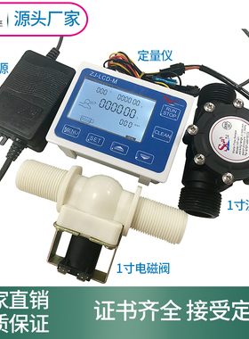 流量管定量控制仪 液体流量定量灌装机 流量显示器 1寸管径