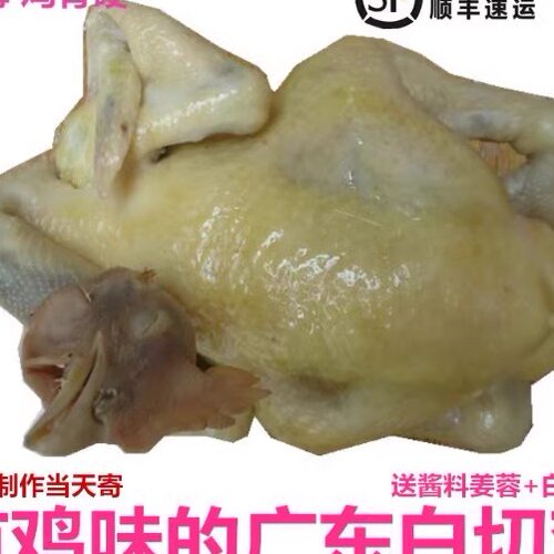 广东有鸡味的白切鸡鲜货熟食鲜货