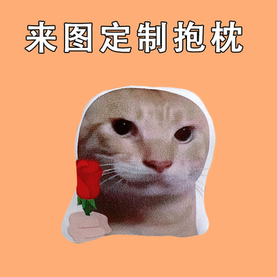 圆头猫爹表情包公仔耄耋拿玫瑰抽象玩具猫咪周边搞笑抱枕来图定制