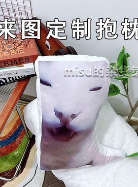 大司马嘿嘿抽象公仔网红猫咪meme玩偶宠物周边来图定制沙雕抱枕