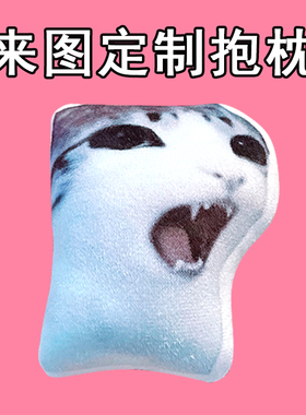 J搞怪黑白猫咪公仔meowl猫头鹰毛绒抽象meme周边玩偶来图定制抱枕