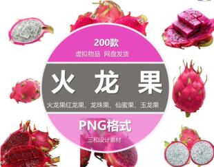 手绘实物火龙果红龙果龙珠果仙蜜果玉龙果PNG免抠元素设计素材