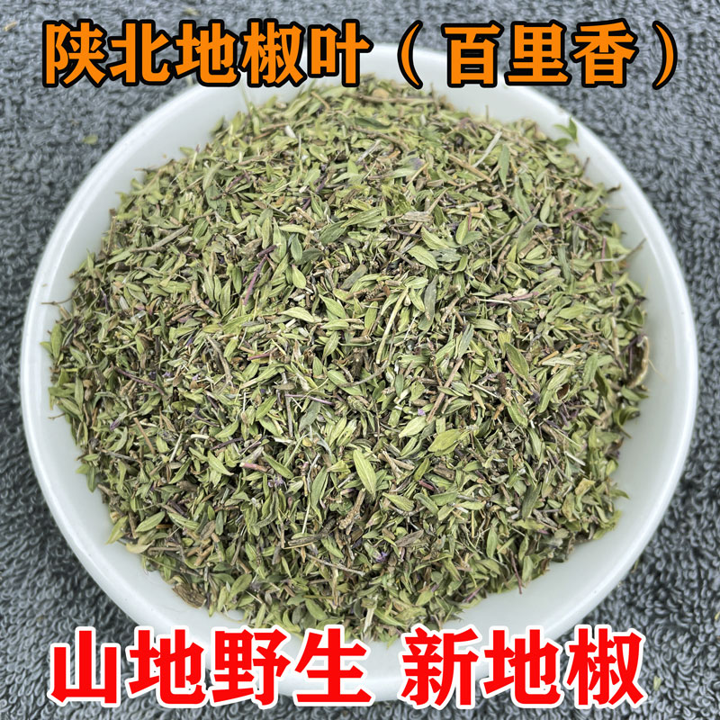 陕北地椒叶百里香炖羊肉香料