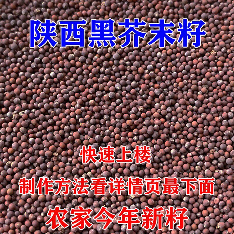 陕西黑芥末籽粒今年新籽介子粒食用芥末籽黄可做芥末籽酱500g包邮