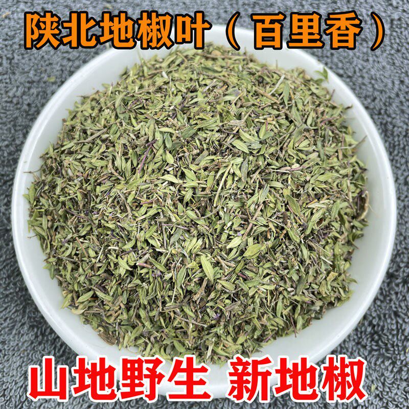 陕北地椒叶百里香500g炖羊肉去膻增香地花椒百里香山椒山胡椒调料