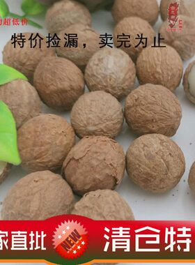 菩提根白根原料果2到2.8厘米超大