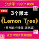 柠檬树英文歌曲卡通可爱唯美 lemon tree 伴奏歌词视频大屏幕背景