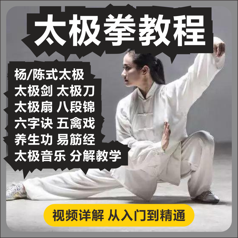 零基础入门陈氏、杨氏太极拳易筋经教程高清视频教学分解合集课程