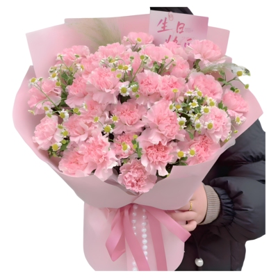 母亲生日33朵康乃馨鲜花束吉林蛟河桦甸舒兰磐石白山临江同城配送