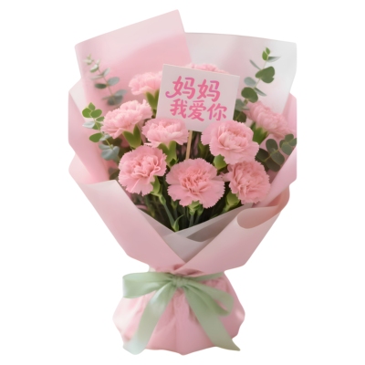 母亲妈妈生日康乃馨鲜花束陕西延安汉中市榆林安康商洛店同城配送