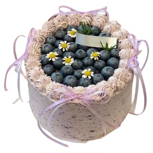 男友孩蓝莓生日蛋糕山东滨州滨城沾化博兴邹平县无棣阳信同城配送