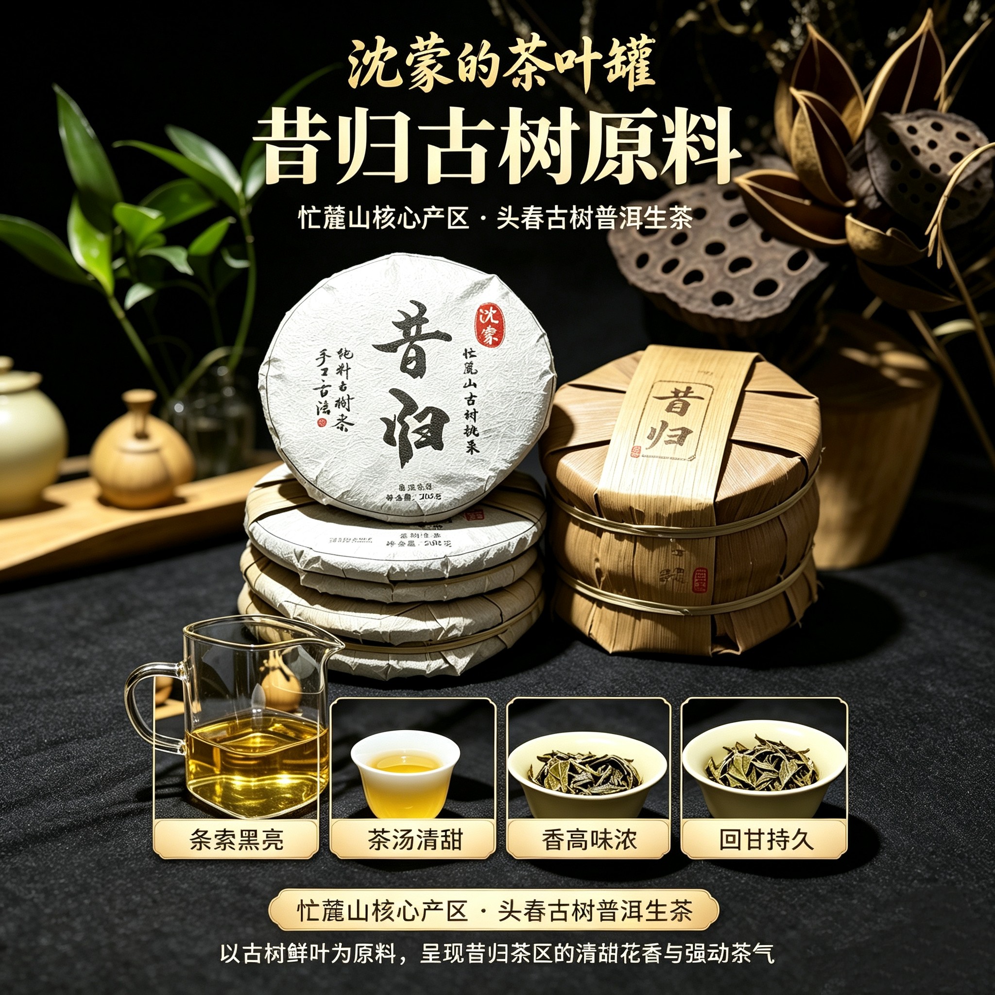 昔归 · 澜沧江畔的低海拔王者 2026古树头春挑采普洱茶