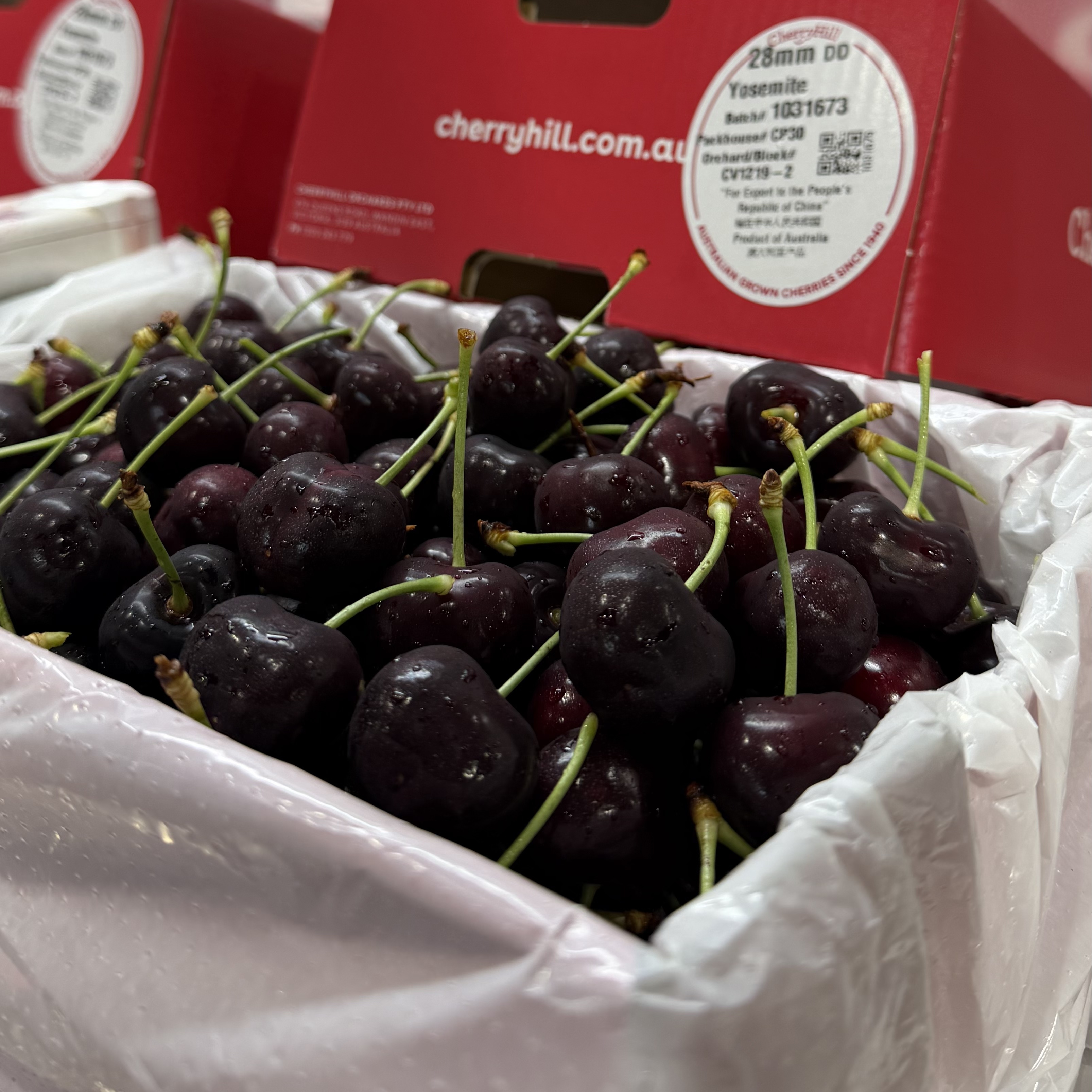 澳大利亚进口樱桃3j4J空运车厘子