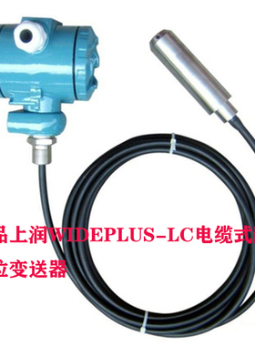 上润WIDEPLUS-LC投入式液位变送器 0-5米导气电缆4-20ma信号0-10V