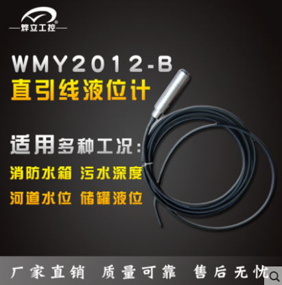 烨立 WMY2012 B开关液位计投入式变送器WMY CXS水位传感器现货-封面