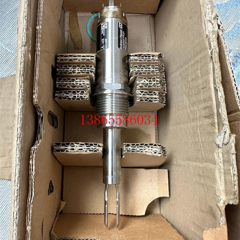 议价恩德斯豪斯E+H音叉开关 FTL31-AA4U3BAWSJ全(斐斐电子)