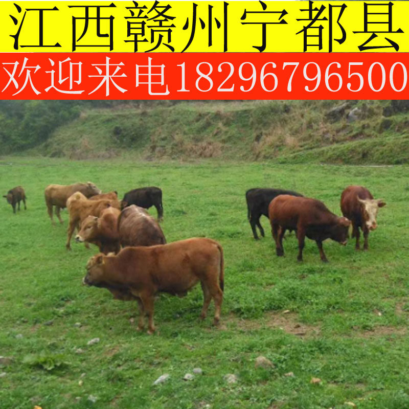 1 24 5 12 1 24 5 12