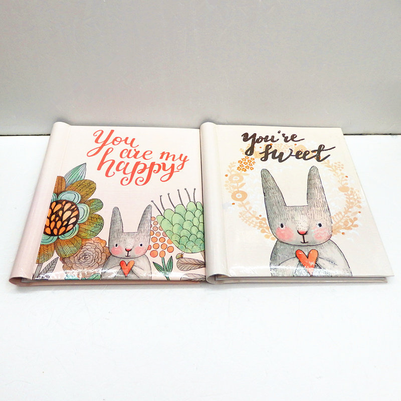 2本包邮简装线圈10寸粘胶相册