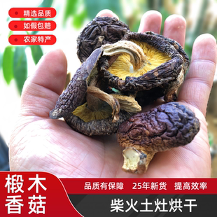 椴木香菇高山种植农家土特产柴火烘干广东河源连平农家风味干蘑菇