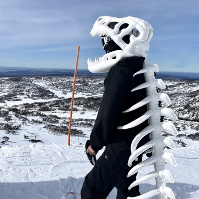 熊猫恐龙卡通可爱滑雪头盔帽