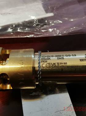 可维修德国高策安全阀，810sGK  DN15  10Bar ，T