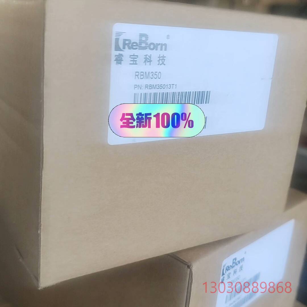 可维修睿宝RBM350真空计，睿宝薄膜规1000torr全