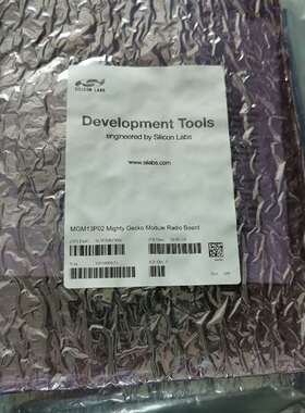 可维修MGM13P02 Mighty Gecko Module R