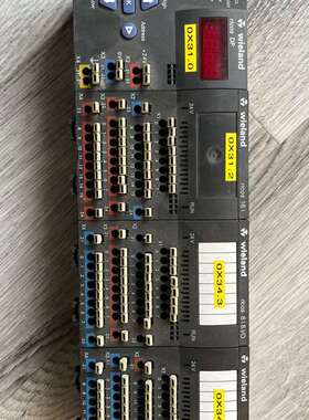 可维修WIELAND RICOS