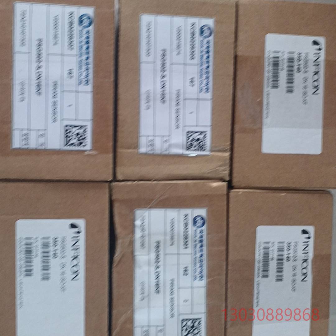 英福康PSG502-S真空计，防腐真空计，货号3议价