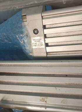 可维修DGP-40-300-PPV-A  161782  DGP-