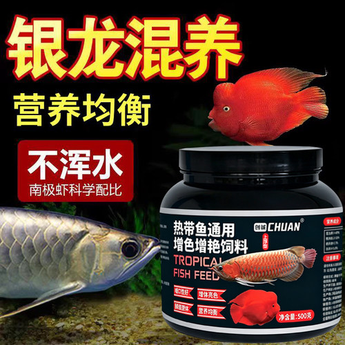 银龙鱼混养鱼饲料高蛋白鱼粮