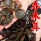 春木耳 无添加无硫磺木耳口感软糯 秦岭纯椴木野生黑木耳干货500g