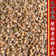 可发芽种植食用 老品种冬小麦和尚头秃头麦土麦子1斤 小麦粒 新货