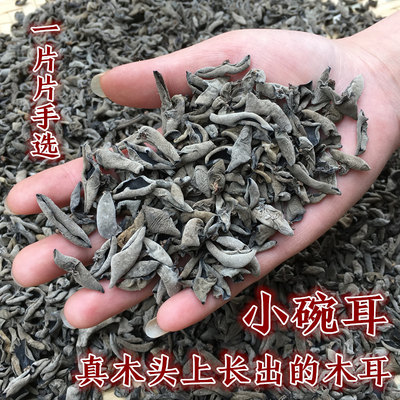 木头上生长的小木耳，小碗耳好吃