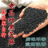 新货黑芝麻 生 农家自种老品种土芝麻新鲜无染色后味不苦微甜500g
