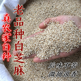 农家自种白芝麻 新货老品种土芝麻 带皮生芝麻非熟微甜不苦500g装