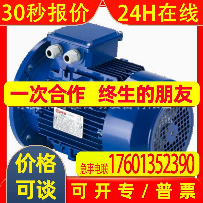 意大利原装进口Elvem电机Elvem铝壳电机6SM2 56B4 0.09KW