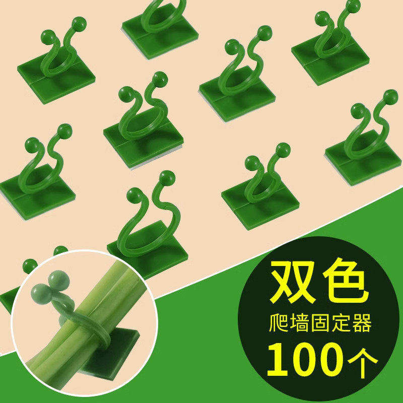 绿萝爬墙固定器夹子无痕